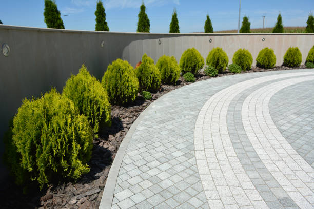 Best Driveway Paving Contractor  in Batesville, TX